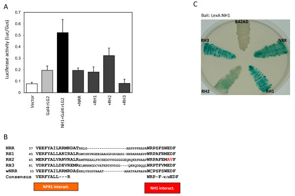 Figure 2