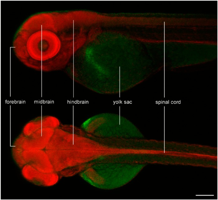 Figure 4.