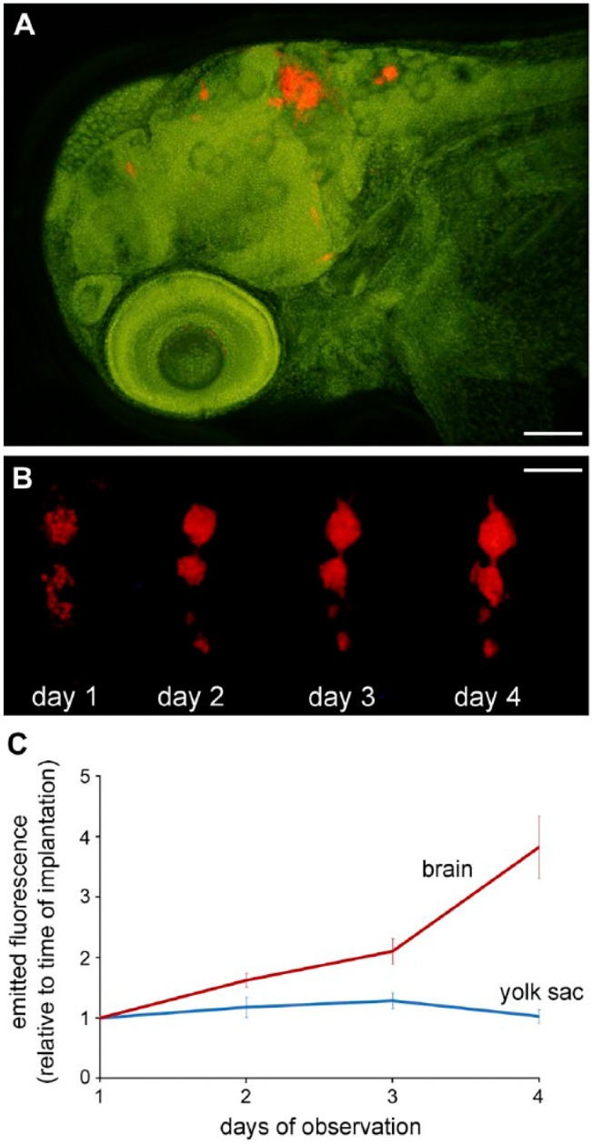 Figure 6.