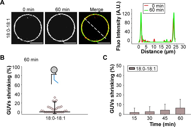 Figure 5—figure supplement 1.