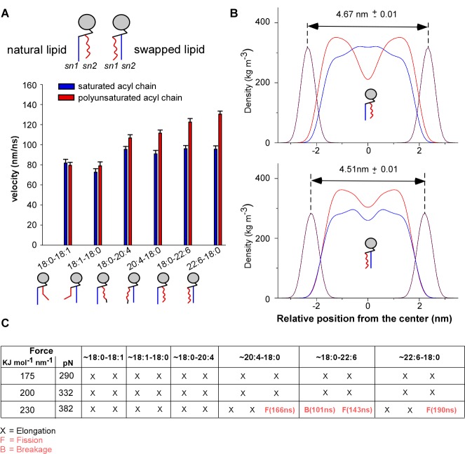 Figure 6—figure supplement 3.