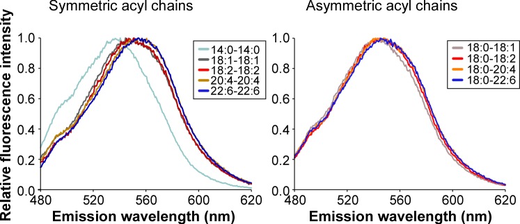 Figure 2—figure supplement 1.