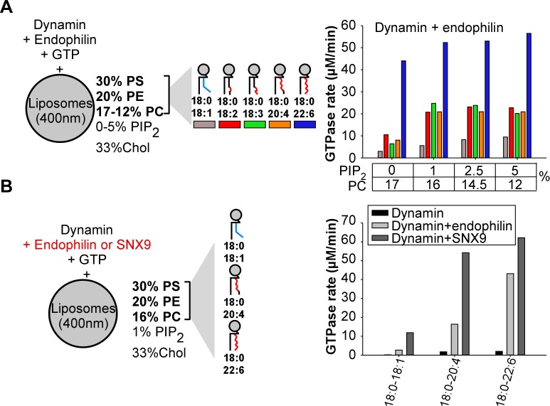 Figure 3—figure supplement 1.