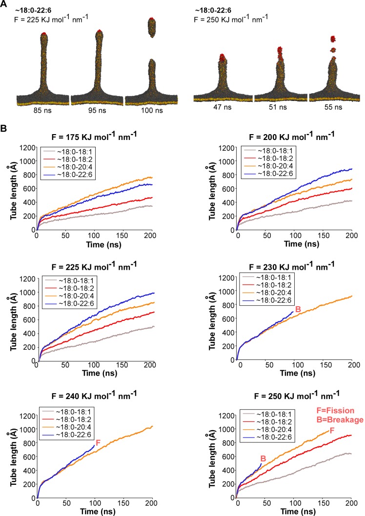 Figure 6—figure supplement 1.