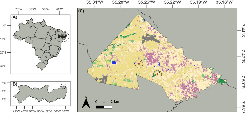Fig. 1