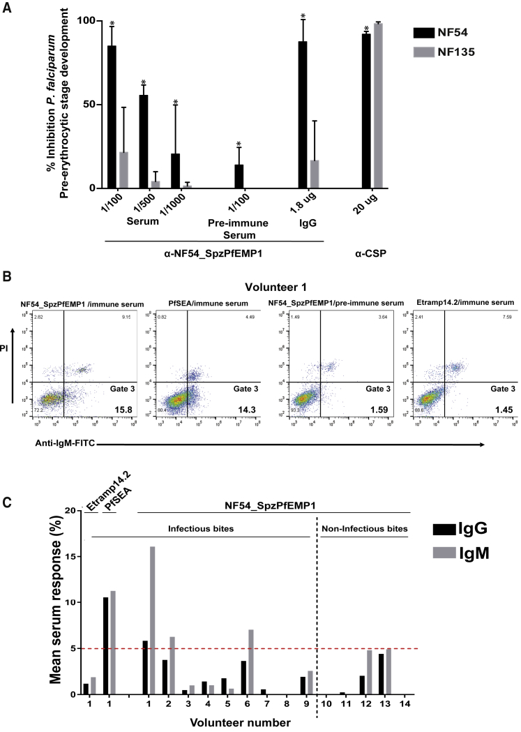 Figure 6