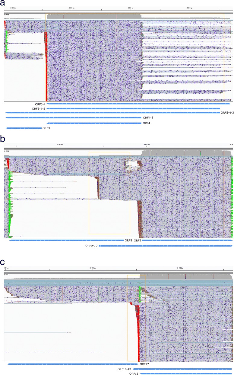 Fig. 8