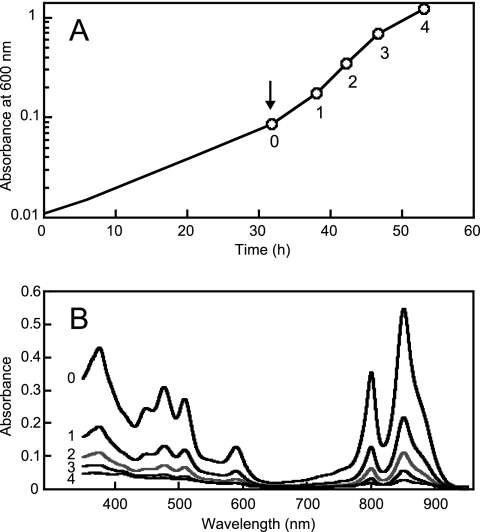 FIG. 4.