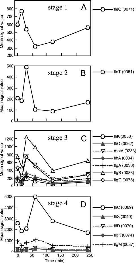 FIG. 7.