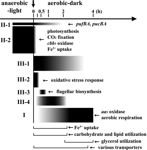 FIG. 8.