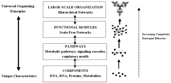 Fig. (3)