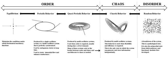 Fig. (4)