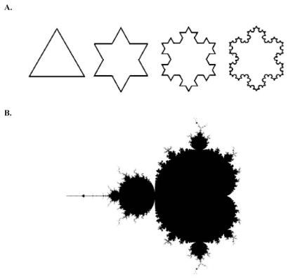 Fig. (2A)