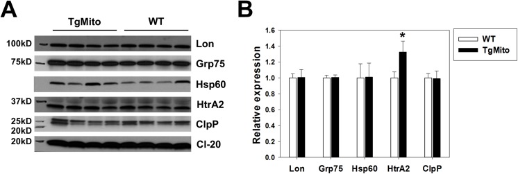 Fig 5