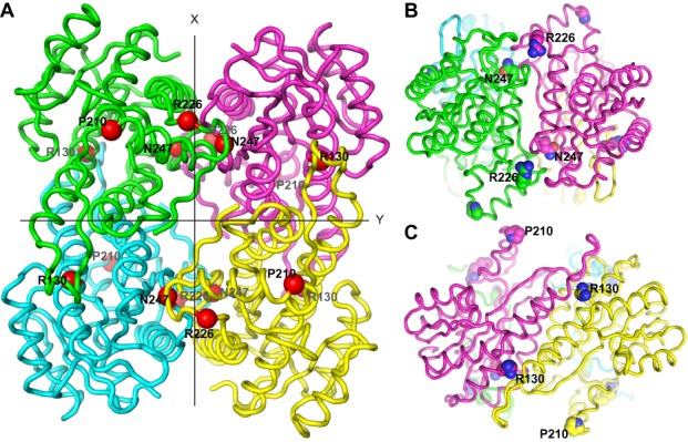 Figure 3.