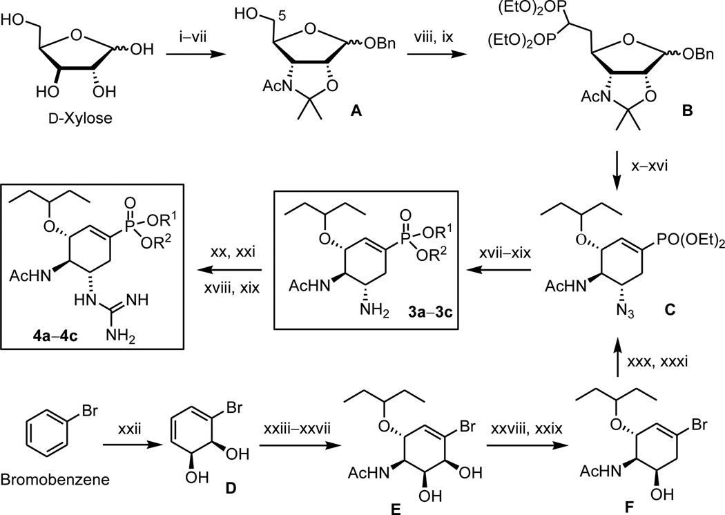 Scheme 1