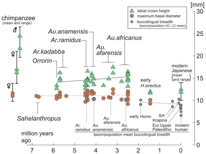 Fig. 7.