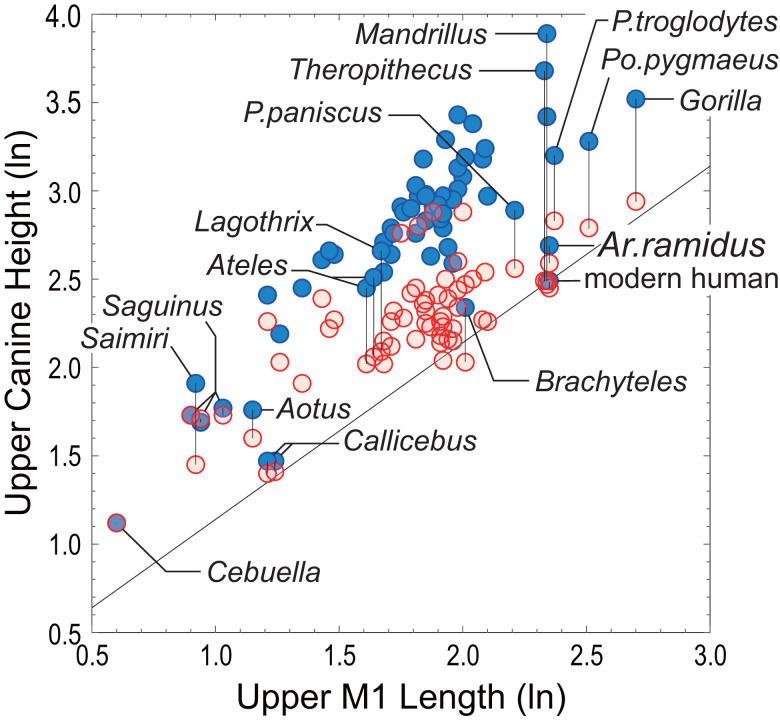 Fig. 6.