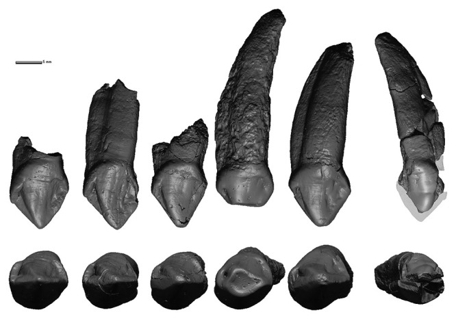 Fig. 5.