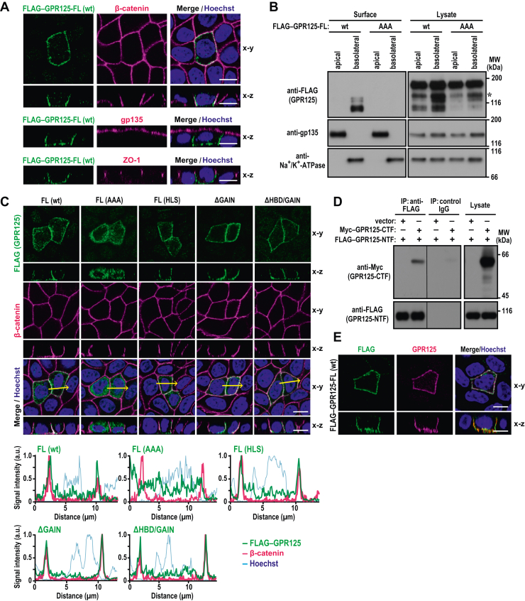 Figure 2