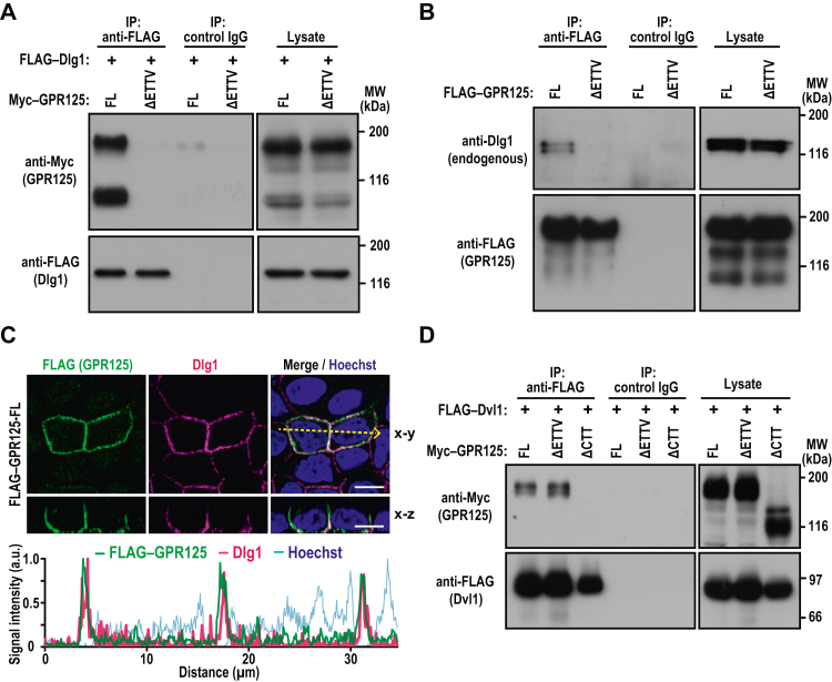 Figure 4