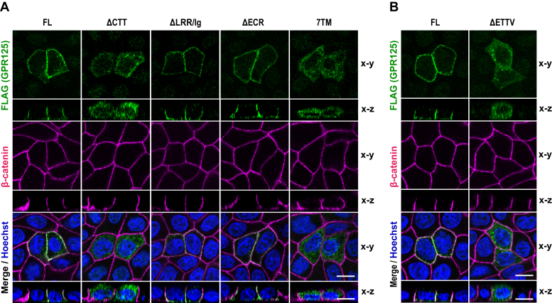 Figure 3