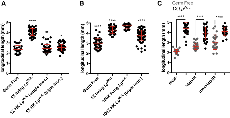 Figure 4