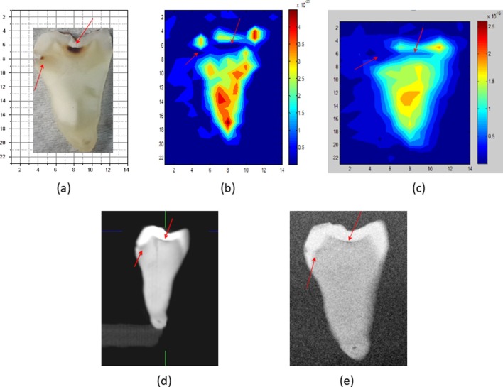 Figure 3. 