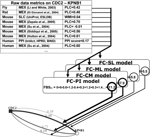 Figure 2.