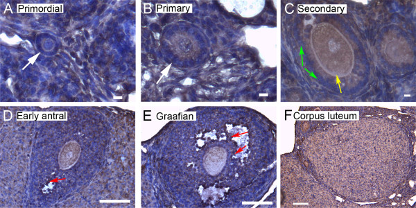 Figure 10