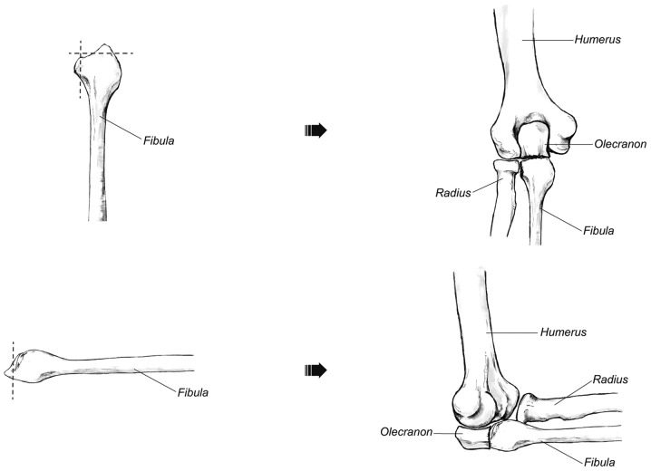 Figure 4.