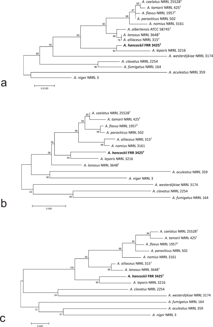 Fig 1