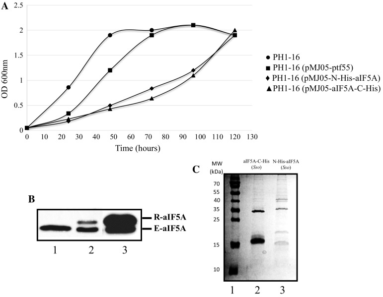 Fig. 1