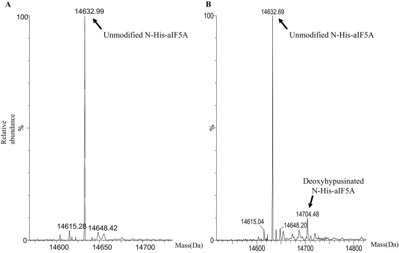 Fig. 6