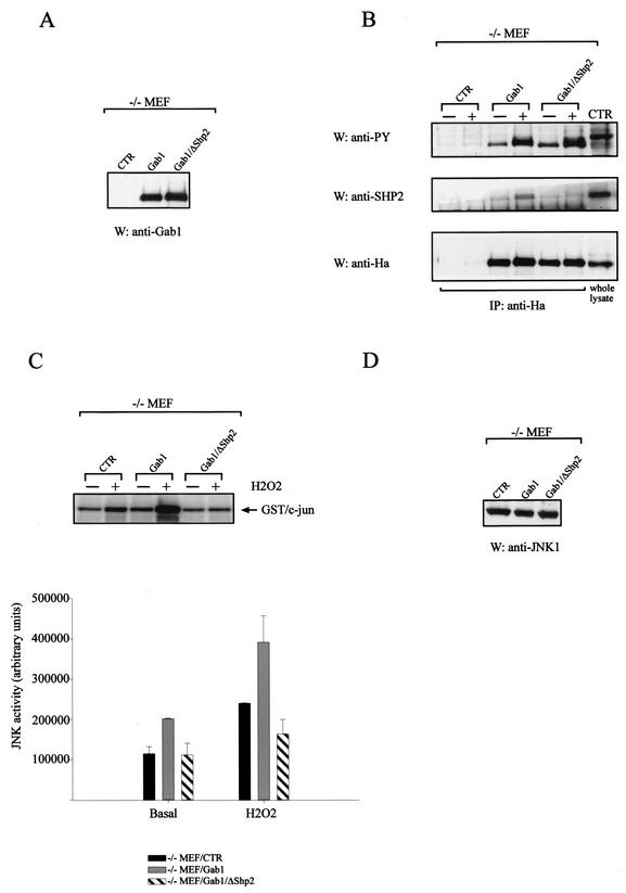 FIG.6.