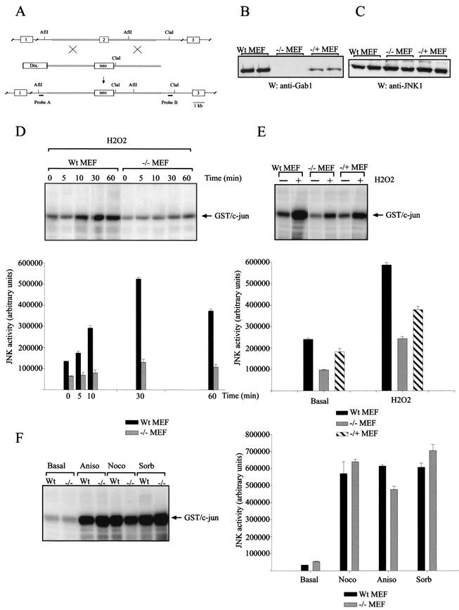 FIG.4.