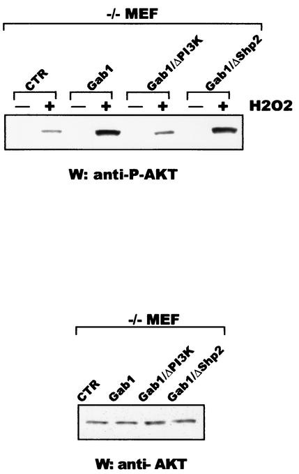 FIG. 8.