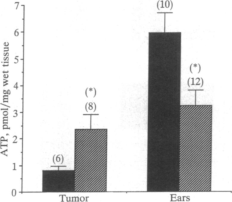 graphic file with name pnas01096-0534-a.jpg