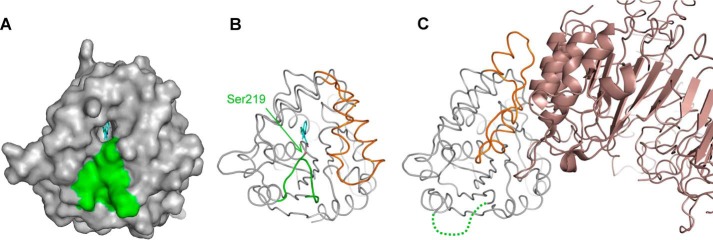 Figure 9.