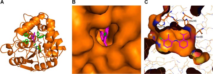 Figure 5.