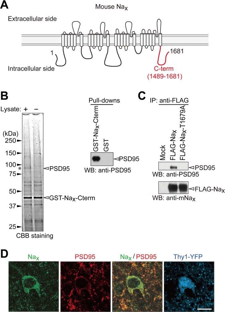 Fig 5