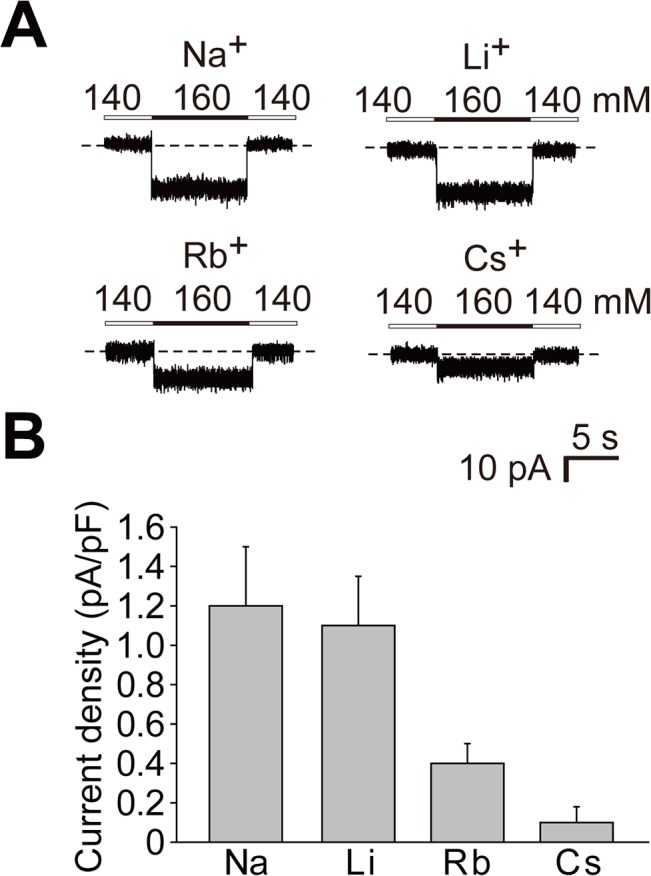 Fig 4