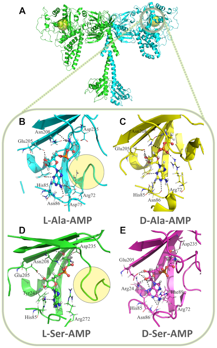 Figure 2.