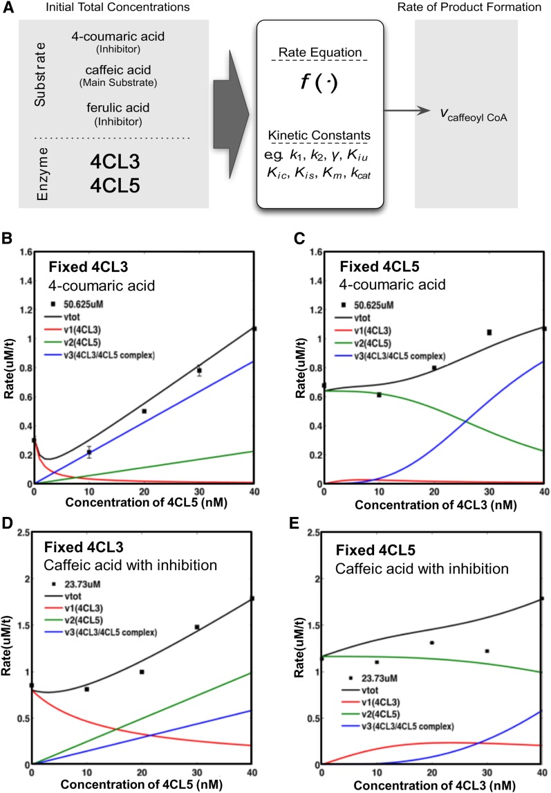 Figure 10.