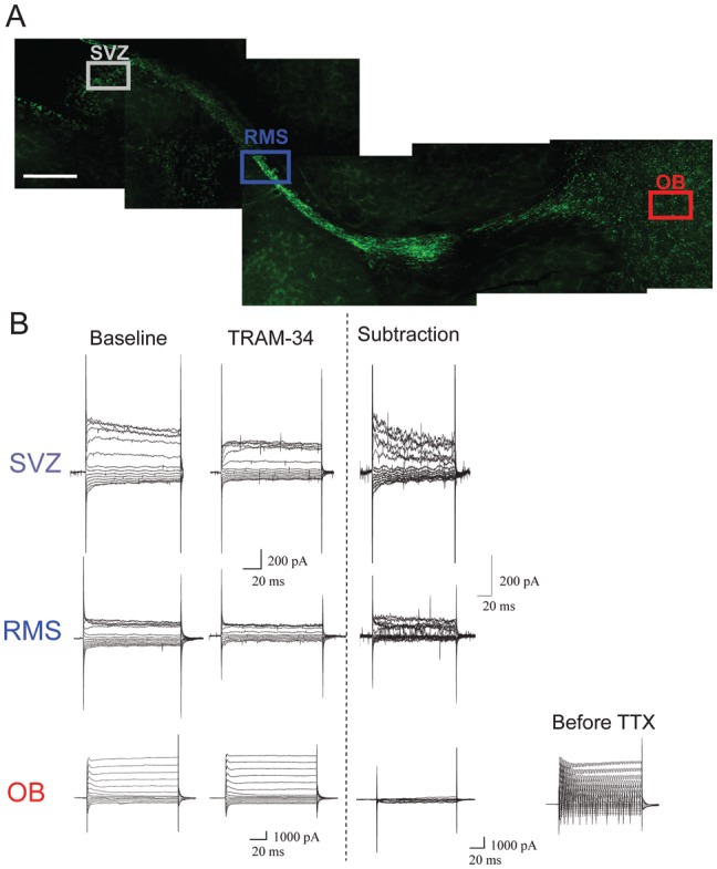 Figure 1.