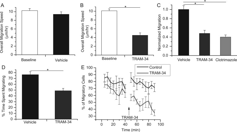 Figure 4.