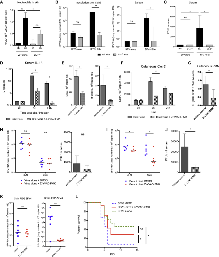 Figure 6