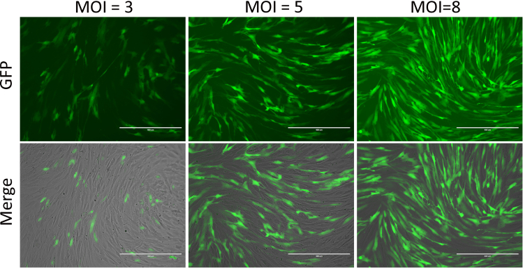 Figure 2