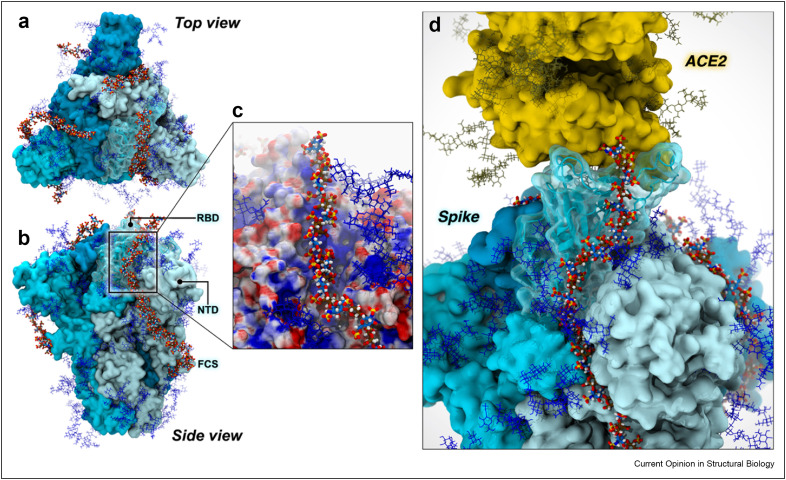 Figure 3