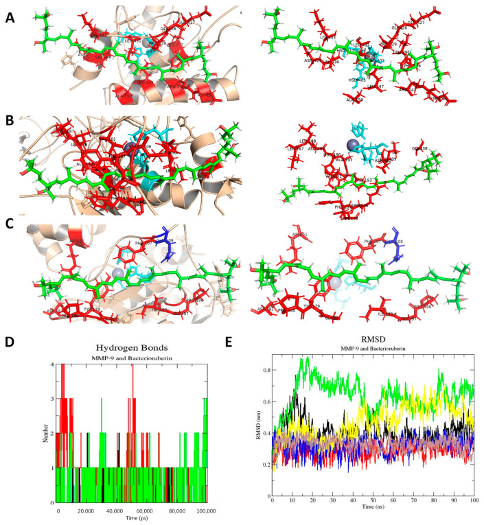 Identification, Antioxidant Capacity, and Matrix Metallopeptidase 9 ...